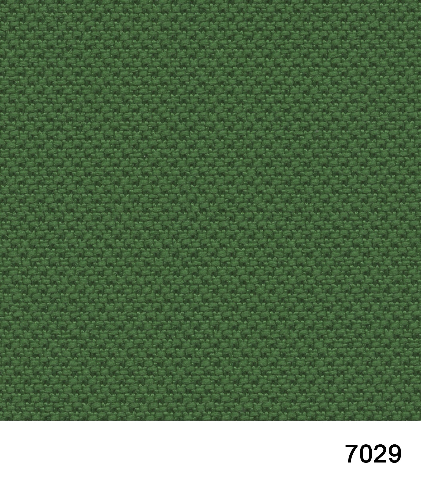 Horus 400 puff