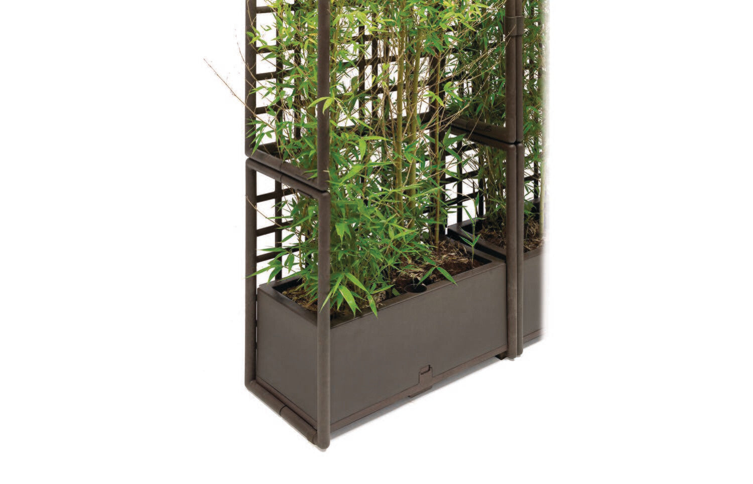 nardi-sipario-vegelem-05